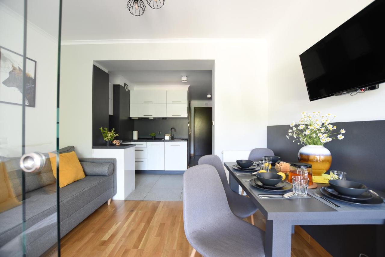 Apartament Przemily - Studio Teczowe Wzgorze ヴィスワ エクステリア 写真