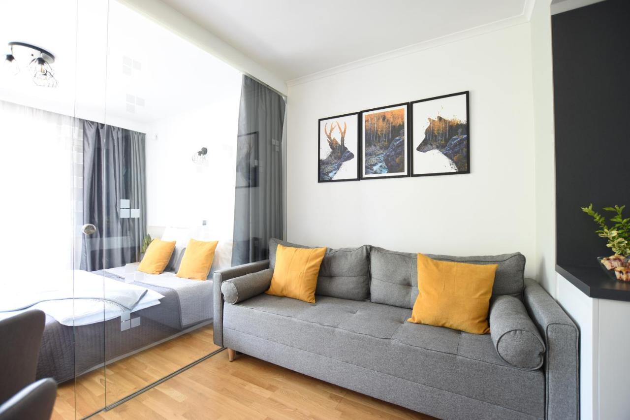 Apartament Przemily - Studio Teczowe Wzgorze ヴィスワ エクステリア 写真