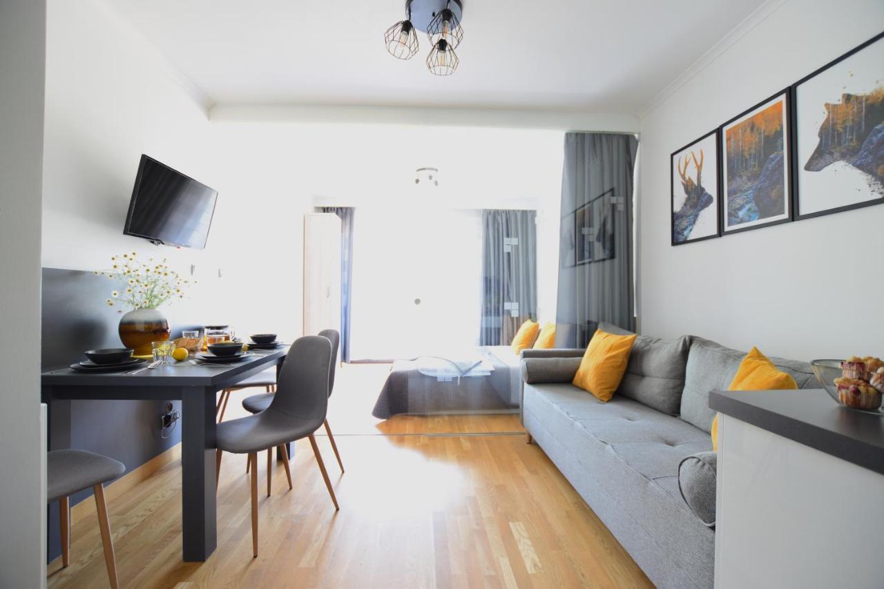 Apartament Przemily - Studio Teczowe Wzgorze ヴィスワ エクステリア 写真