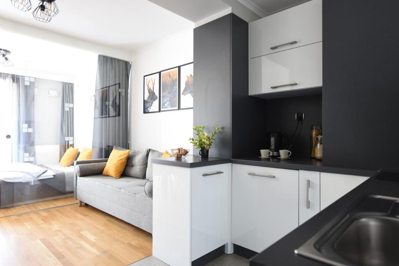 Apartament Przemily - Studio Teczowe Wzgorze ヴィスワ エクステリア 写真
