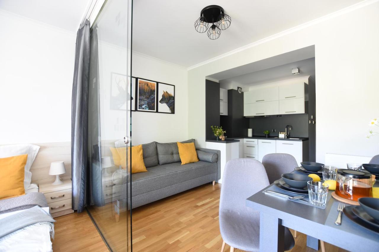 Apartament Przemily - Studio Teczowe Wzgorze ヴィスワ エクステリア 写真